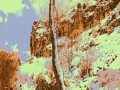 u12