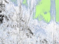 u13