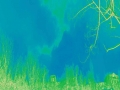 u15