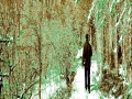 u16