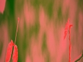 u23