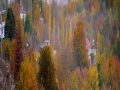 u27
