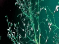 u9